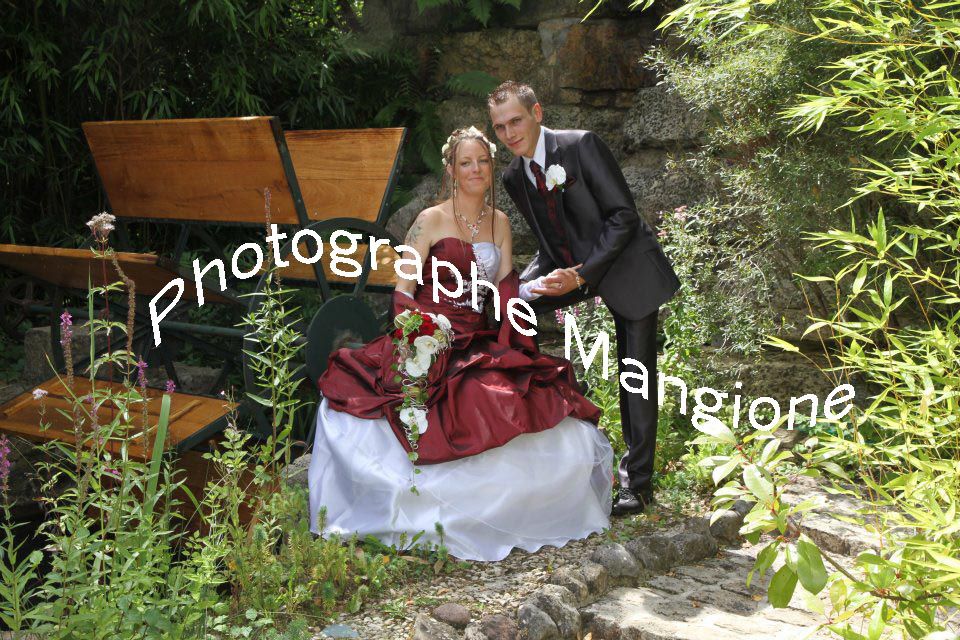photographe, mariage, fête